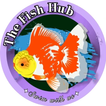 thefishhub